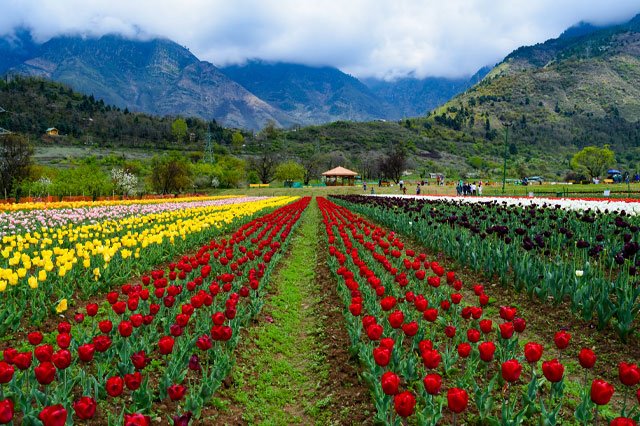 Kashmir 3 Nights 4 Days Tour Package