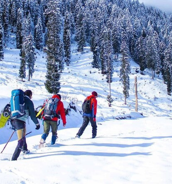 Kashmir 4 Nights 5 days Tour Package